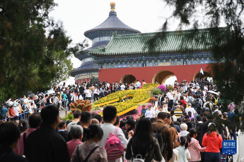 mg平台下载